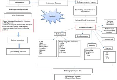 Evaluating Potential Biomarkers of Health and Performance in Veal Calves